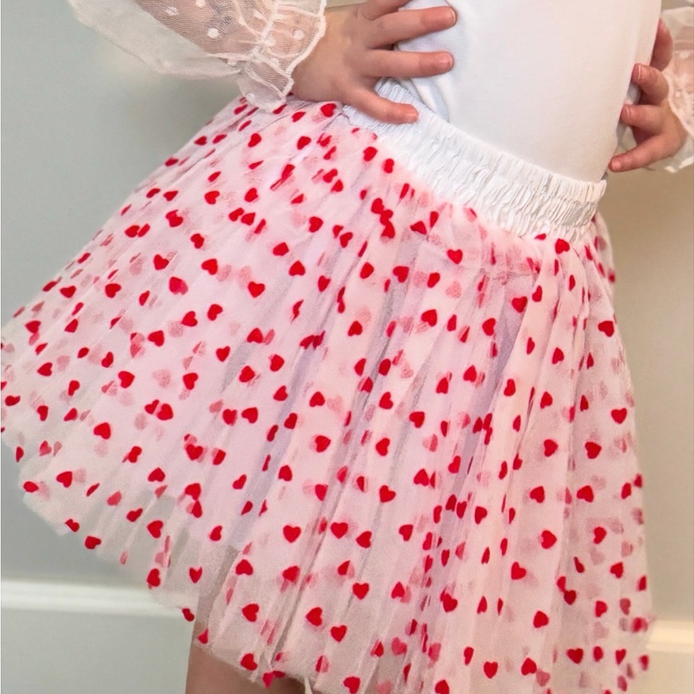 Red Velvet Heart Tulle Skirt